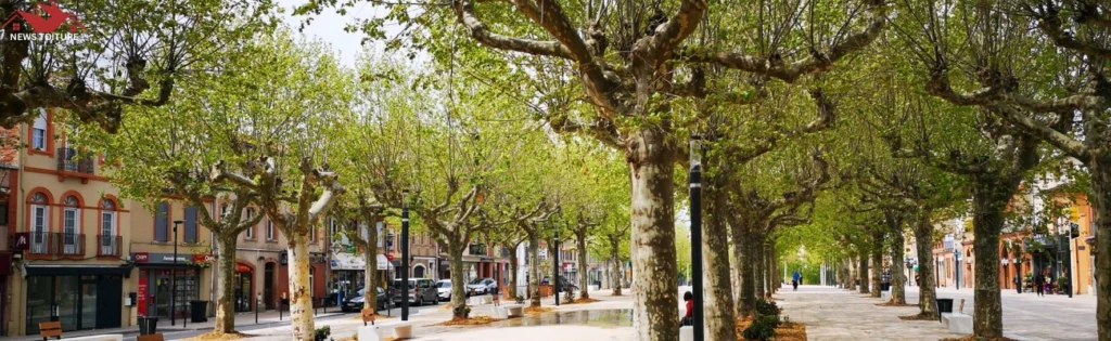 couvreur-muret-news-toiture-renovation